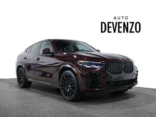 2023 BMW X6 2023 Mauve
