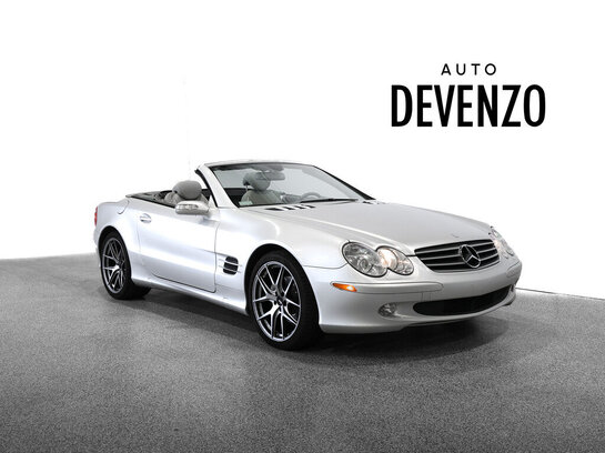Mercedes-Benz SL-Class 2005 2005 Argent