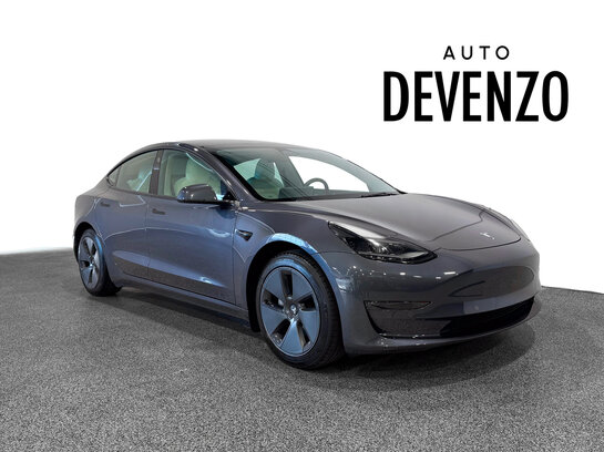 Tesla Model 3 2022 2022 Gris